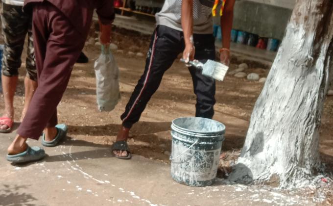 Painting of trees stem