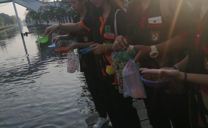 ให้อาหารปลา