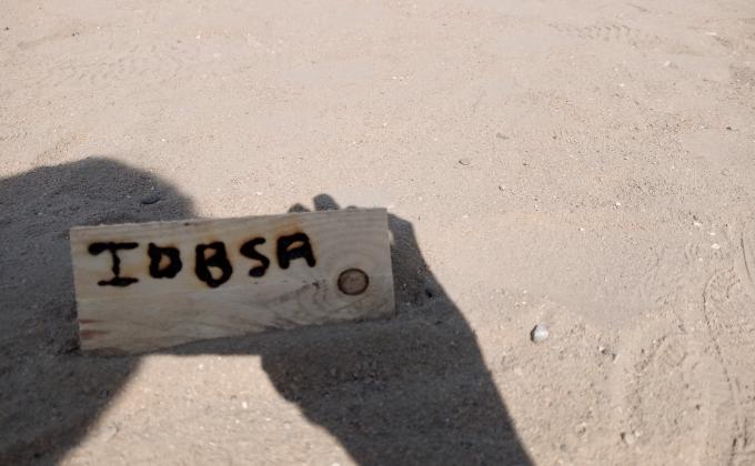 Scout Go Solar Activity