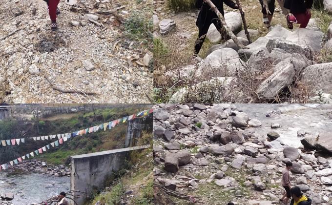 Collection of fire wood