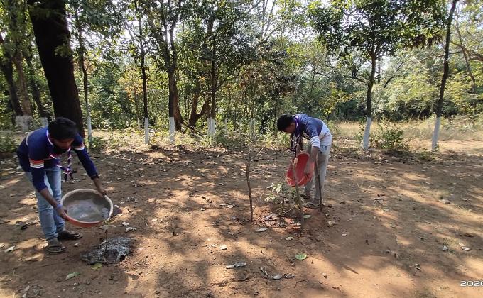 Providing Water to plants in Campsite