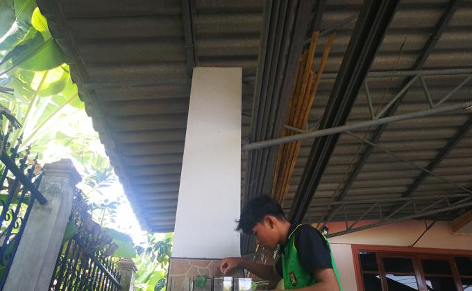 ทำความดีเมื่ออยู่บ้าน​ ให้อาหารปลา