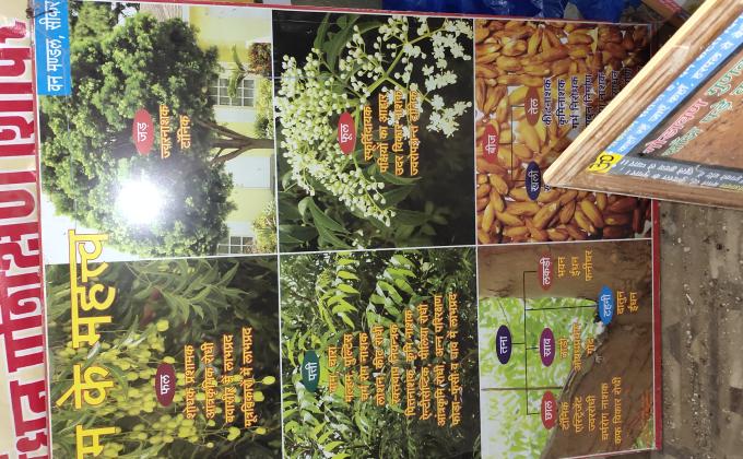 smriti van exhibition overview