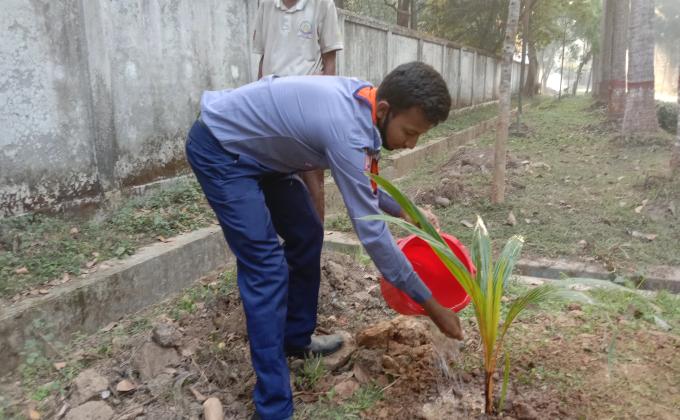মুজিববর্ষ উপলক্ষে বৃক্ষরোপণ কর্মসূচি

