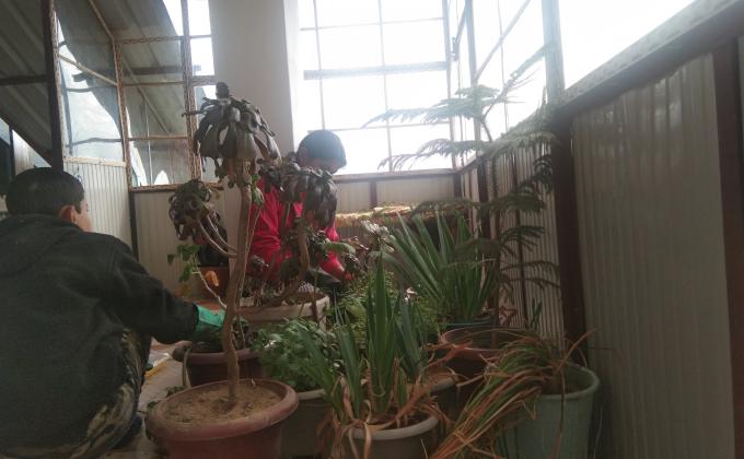 Health and well being or Activities during quarantine [SANKALP]