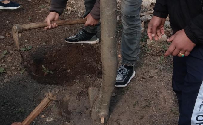 Development of scout garden 