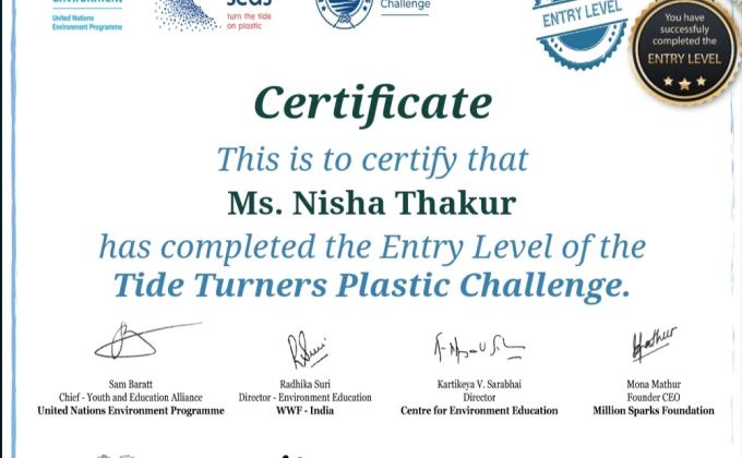 Tide Turners Plastic Challenge