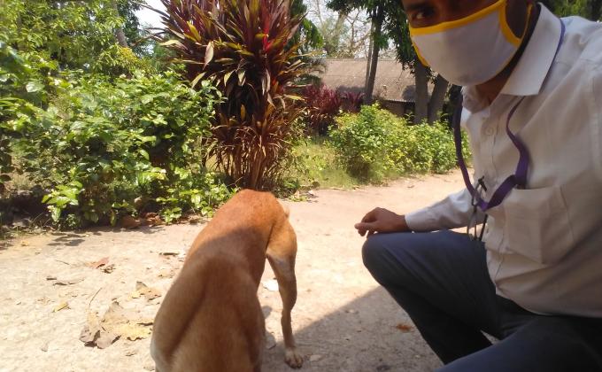 sanklap by scout guide service to animal