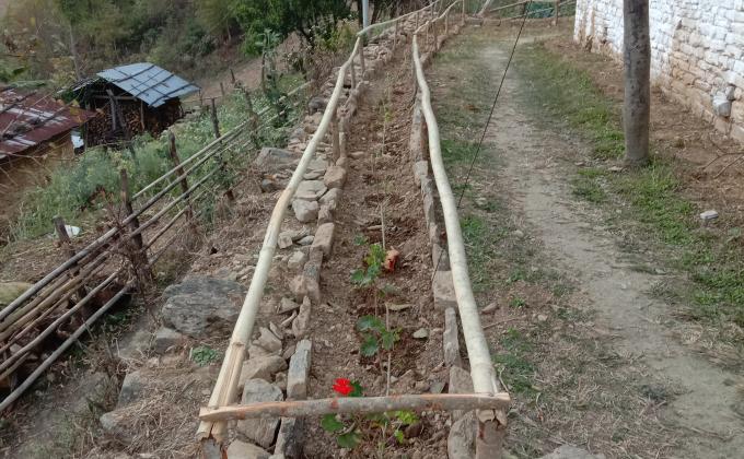 Community service (flower garden )