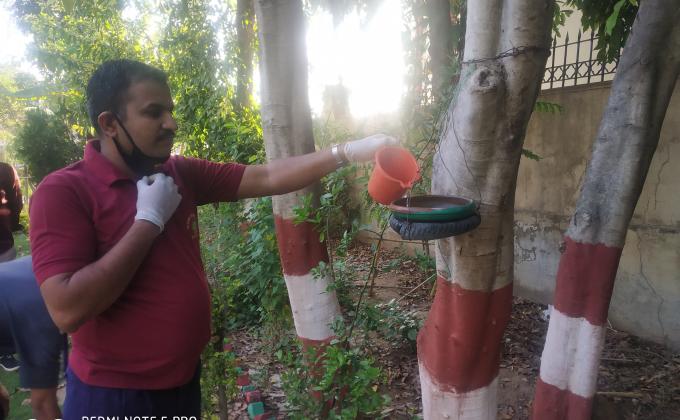  lets go we do a good work for the birds