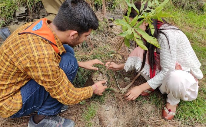 rover and ranger unit members plant around 245 plants in low lying area of shimla in village shaurala. 