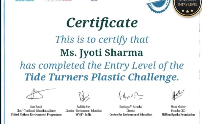 challenge 2- tide Turner's plastic challenge