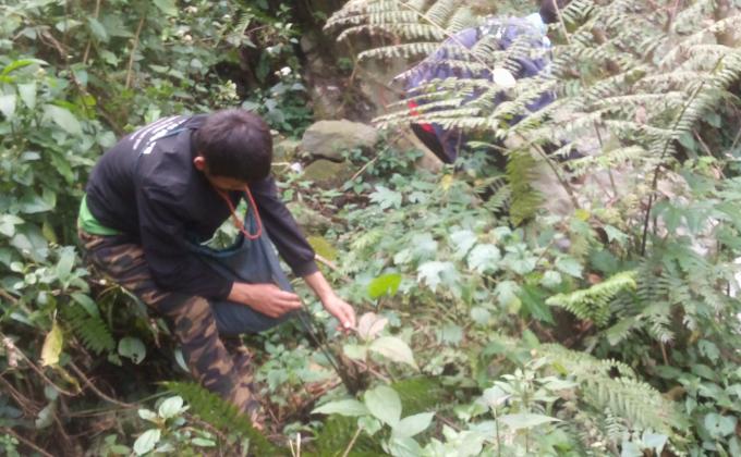 Jungle servival.