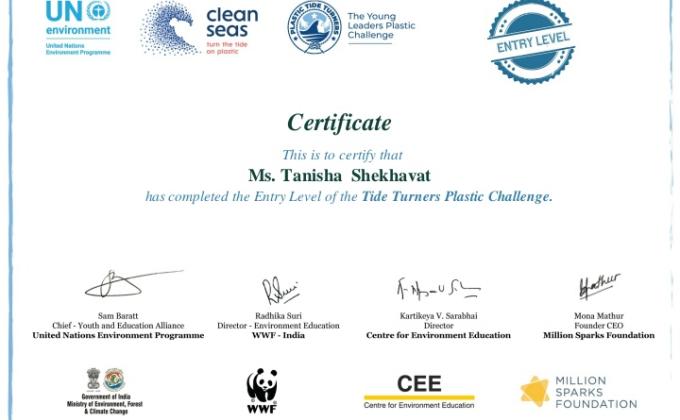 plastic Tide turners challenge 