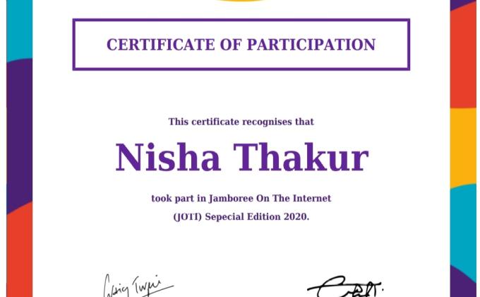 Certificate Jamboree On The Internet (Joti) Special Edition 2020