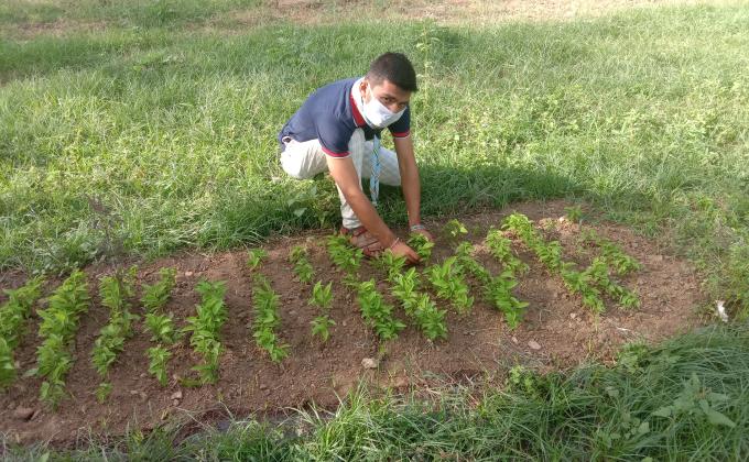 Sankalp Procect Group B Challenge 4 Kitchen Garden