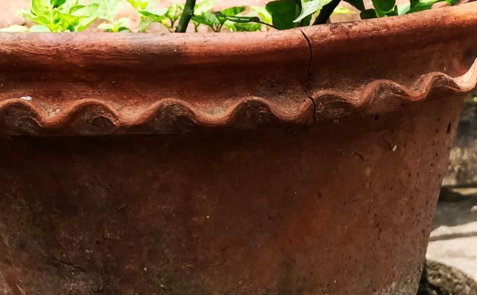 উলুবেড়িয়া জেলা অ্যাসোসিয়েশনের স্কাউটস এবং গাইডরা 22 এপ্রিল 2020 Earth Day উপল‌‌ক্ষে প্রত্যেকে কয়েকটি পোষ্টার বানিয়ে আস পাশের মানুষদের করোনা ভাইরাস বিষয়ে সচেতন  করা হয়েছে।আমারা সবাই  টবে গাছ লাগিয়েছি।