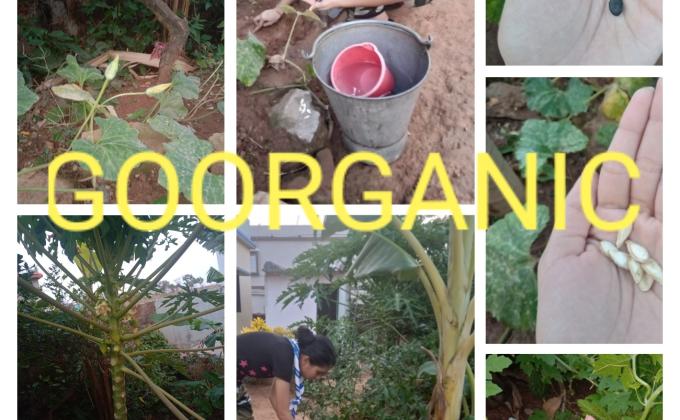 Goorganic (Project-sankalp) 