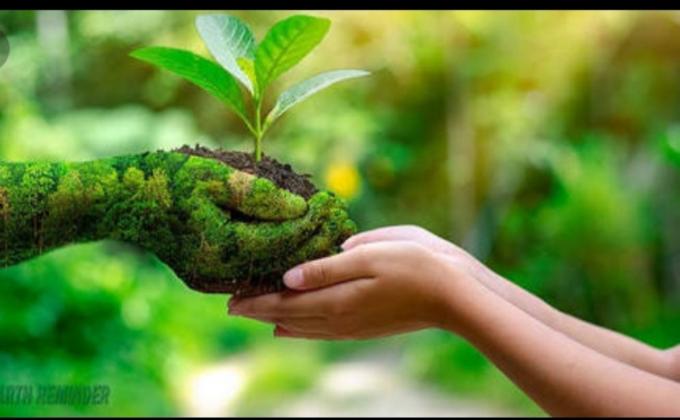 SANKALP PROJECT > (B) Environment and Sustainability > challenge(4) #Goorganic