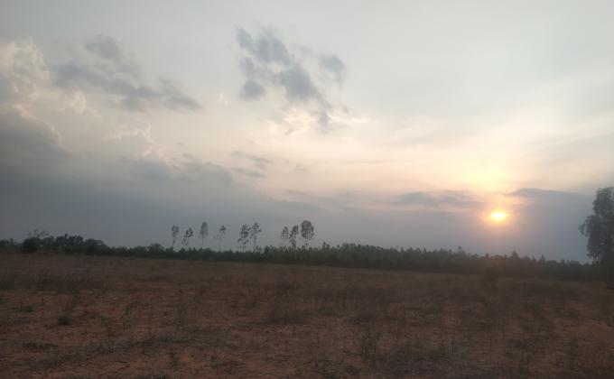 ಸುಹಾಸ್ ಶಂ ಗೌಡ