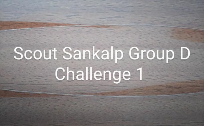Scout Sankalp Group D Challenge 1 #BSG Website (BSG,Karnataka, District Association Of Udupi)