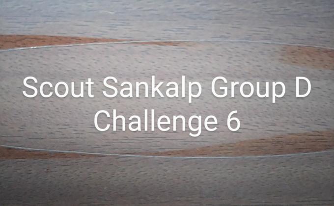 Scout Sankalp Group D Challenge 6 #Aarogya Setu (BSG,Karnataka, District Association Of Udupi)