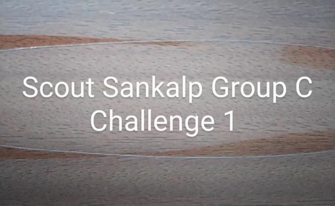 Scout Sankalp Group C Challenge 1 #Voice For The Planet (BSG,Karnataka, District Association Of Udupi)