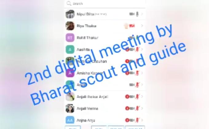 1st Digital Meeting of BSGHP