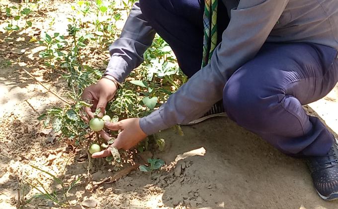 Sankalp project [B] Environment & Sustainability
Challenge 4 – #Goorganic