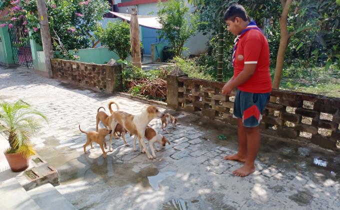 FEDDING ANIMAL IN OUR HIS QUARANTINE 