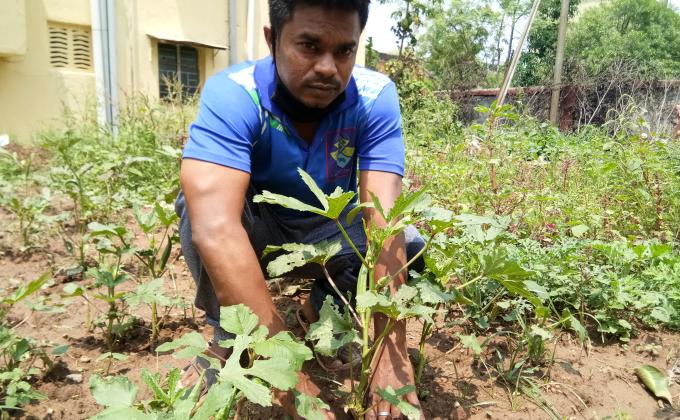 Environment & Sustainability 