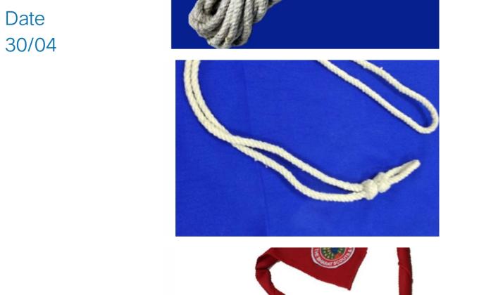 (D) :- Digital Scouting Guiding
Challenge(1):- #BSG India