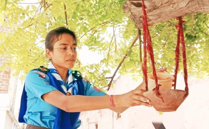 Install a Bird water baths