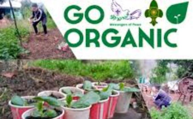 Scout Sankalp Group B Challenge 4 #Goorganic (BSG, Karnataka, District Association of Udupi). 