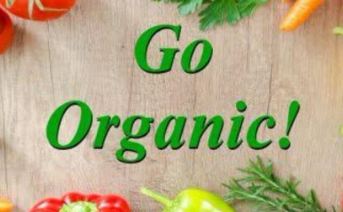 Scout Sankalp Group B Challenge 4 #Goorganic (BSG, Karnataka, District Association of Udupi).