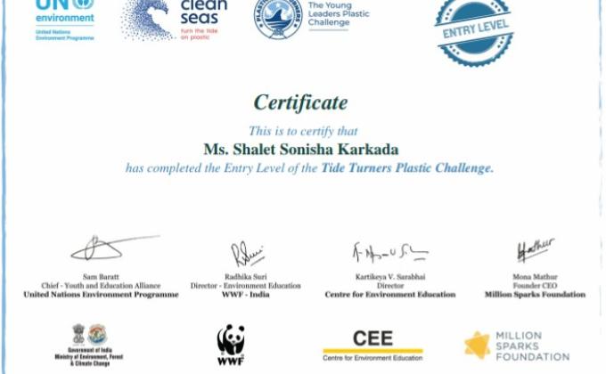 plastic Tide Turner's challenge