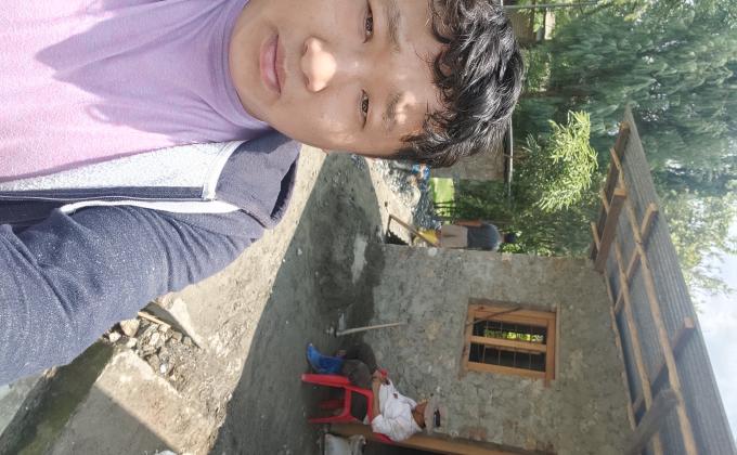 Green tree plantation 