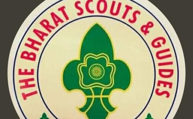 गायो को हरा चारा खिलाया