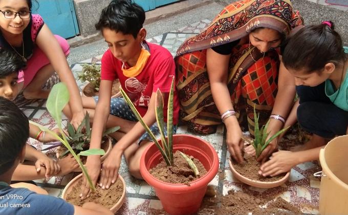 stay home stay plant in home