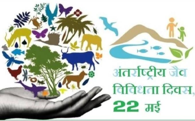 आज विश्व जैव विविधता दिवस पर मेरे द्वारा इस प्रतियोगिता में भाग लेकर पोस्टर बनाया गया है जिसका मुख्य संदेश," जैव विविधता के संरक्षण से संबंधित हैं "!)

धन्यवाद!
