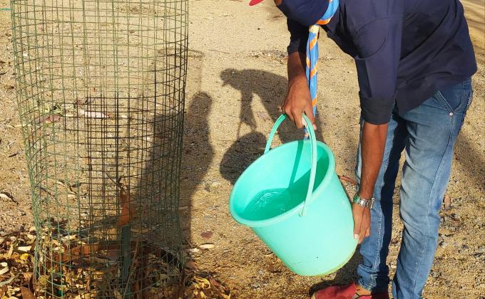 पर्यावरण और स्थिरता