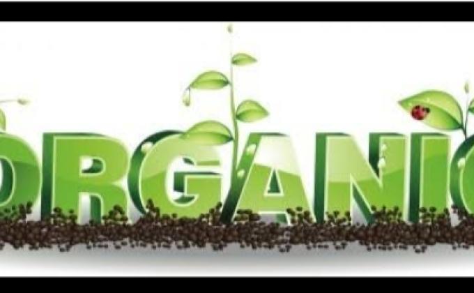 project:-sankalp , Group (B) Challenge-4# "GOORGANIC",B.S&G ,D.H.Q Jodhpur, Rajasthan, India