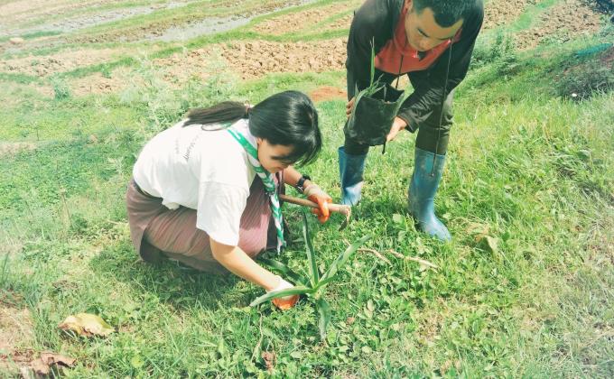 Mark on World Environment Day