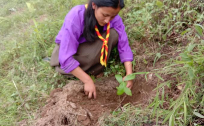 Highlight on World Environment Day 