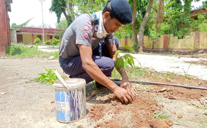 GREEN CITY IS MY DREAM CITY