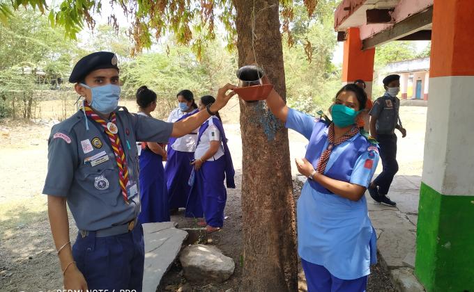 विश्व पर्यावरण दिवस