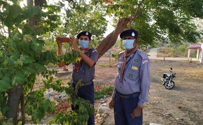 Save Birds