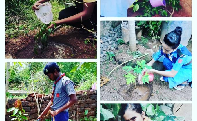 world environment day 2020