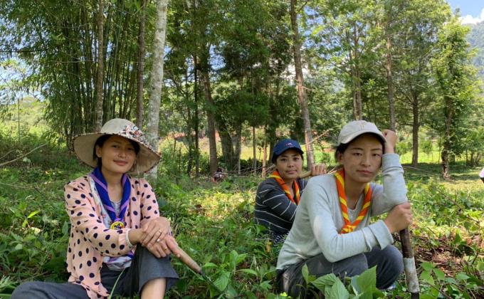 Scouting and Humanitarian action