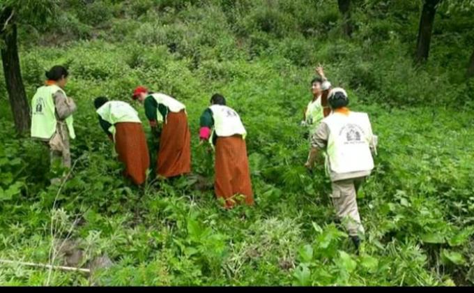 Social Forestry Day celebration